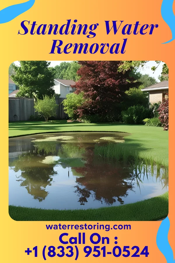 Standing Water Removal in Eagle Pass, TX